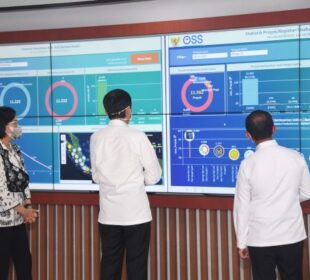 OSS Berbasis Risiko atau OSS RBA (Foto: Lukas)