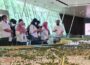 Kawasan BSD City